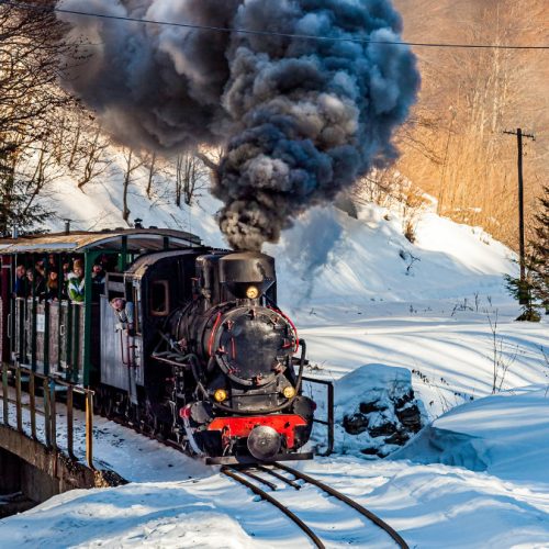 THE BIESZCZADY FOREST RAILWAY