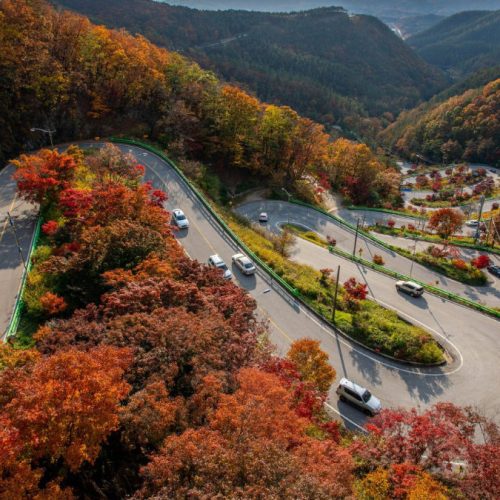 THE GREAT BIESZCZADY LOOP