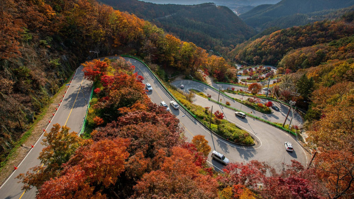 The Great Bieszczady Loop